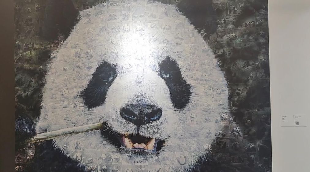 探館成都大運會丨這座美術館藏滿了大熊貓(圖2)