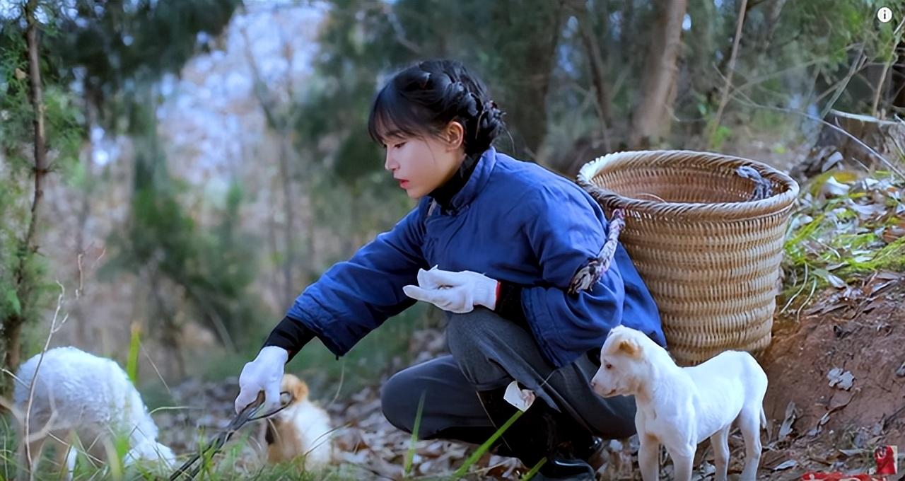 李子柒停更一年仍有收益，她的“消失”，是網紅圈的損失和悲哀(圖13)