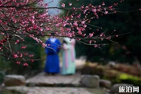 2024超山梅花節(jié)是什么時候