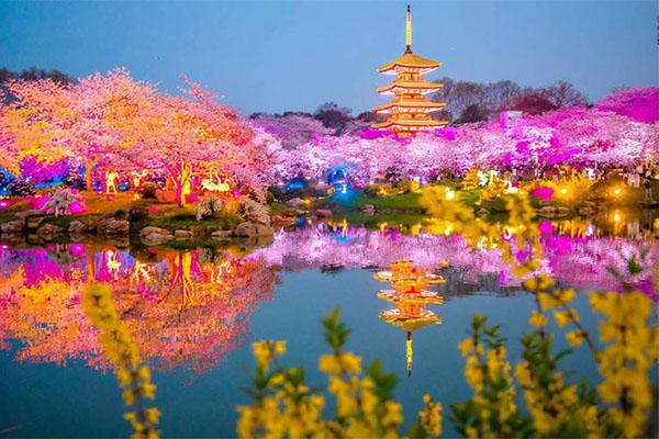 武漢櫻花最佳觀賞時(shí)間2024
