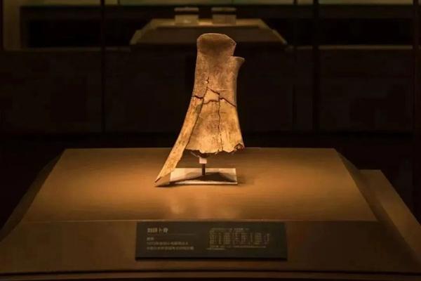 2024年殷墟博物館新館什么時候開館？附預約參觀和優惠購票攻略