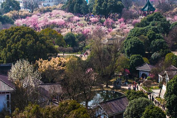 2024無錫梅園門票優(yōu)惠政策