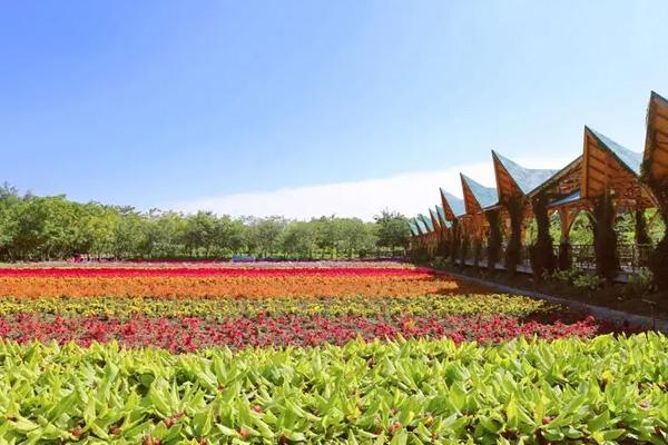 2024丹櫻生態(tài)園門票價(jià)格
