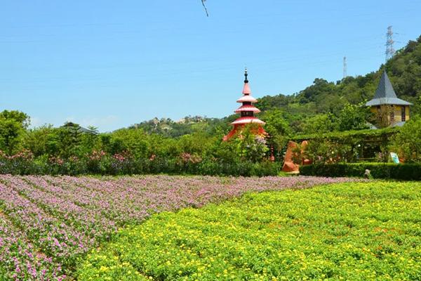 2024丹櫻生態(tài)園門票價(jià)格