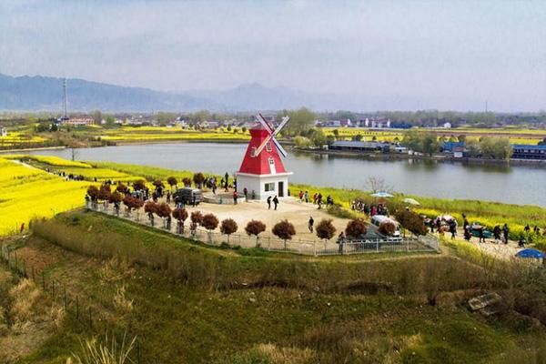 2024陜西漢中油菜花什么時候開 附賞花路線