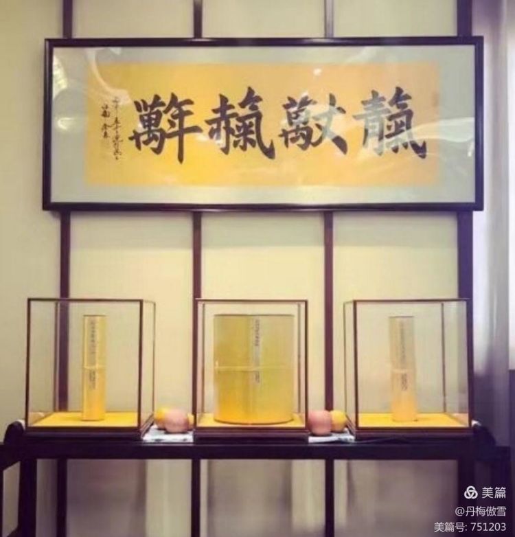 博采萬象貫古通今，筆神墨仙傳承千年——記中國抄經(jīng)第一人，萬福圖騰創(chuàng)始人江南余良先生(圖28)