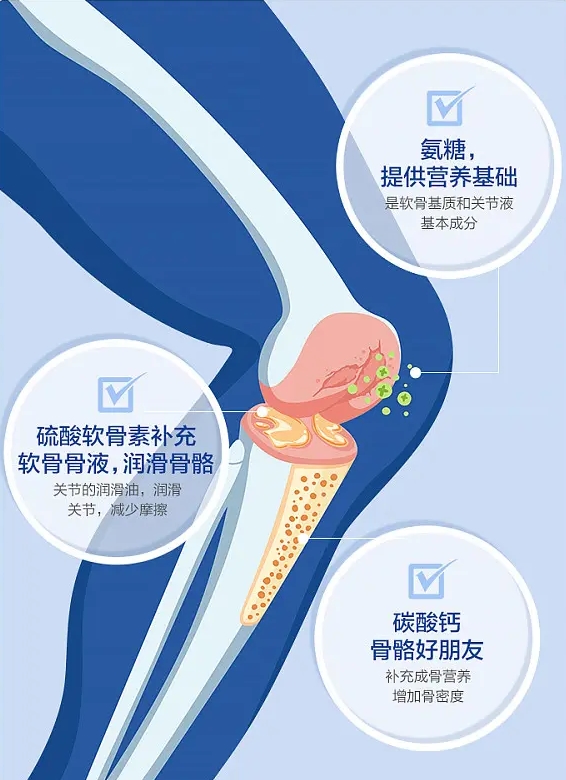 守護關節健康 揭秘氨糖軟骨素鈣片的功效(圖2)
