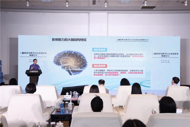 inne引領DHA行業革新：高峰論壇開啟新篇章，人民日報、新華網齊點贊(圖5)