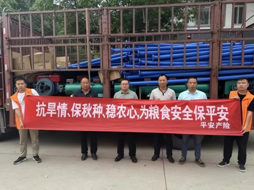 南澇北旱態勢持續，平安產險多措并舉做好防汛抗旱工作(圖7)