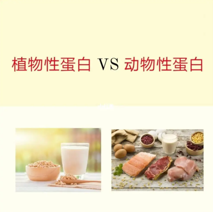 幫助補充蛋白質，湯臣倍健雙蛋白粉守護健康(圖2)