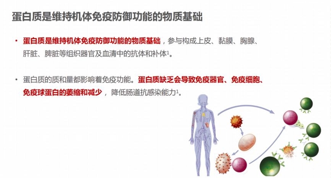 選購蛋白粉不再迷茫：蛋白粉哪個牌子好，一文告訴你補充蛋白質提高免疫力吃什么(圖1)