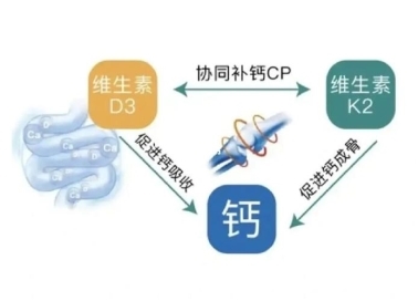 缺鈣怎么補(bǔ)？液體鈣有用嗎？鈣片哪個(gè)牌子好(圖3)