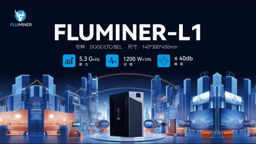 福鹿(FLUMINER-L1) 5納米狗狗幣（Doge）區塊鏈服務器全球開發者見面會(圖4)
