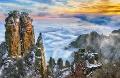 2022黃鶴樓虎年“歐氣十足”聯(lián)名禮盒價(jià)格及購買方式