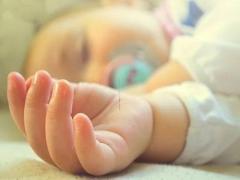 本命年農歷四月兔兔